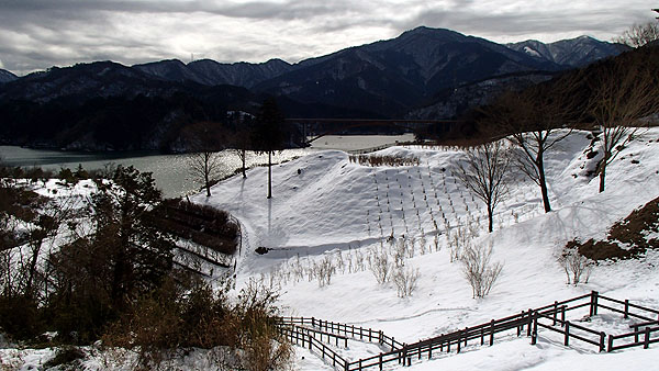 鳥居原ふれあいの館の駐車場からの雪景色